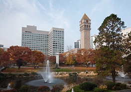 Sejong University