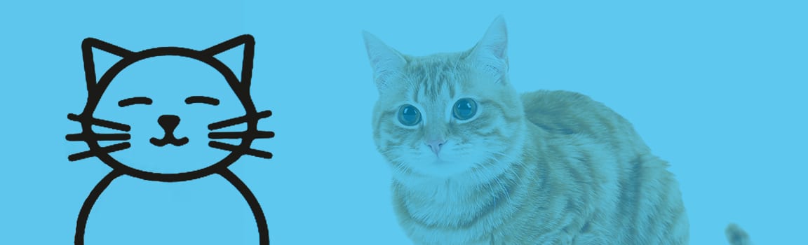 Une promotion, 8 projets : découvrez DomoPets, la domotique pour animaux de compagnie imaginée par Lucien Boillod et Alexandre Abita (EPITA promo 2018) de la Majeure GISTRE !