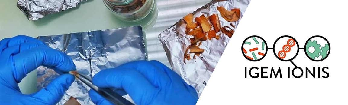 Découvrez Cinergy, le projet innovant de l’équipe iGEM IONIS 2019 !