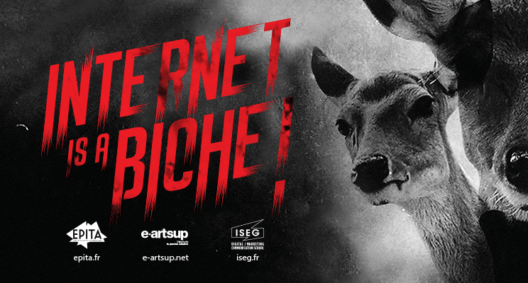 INTERNET IS A BICHE !