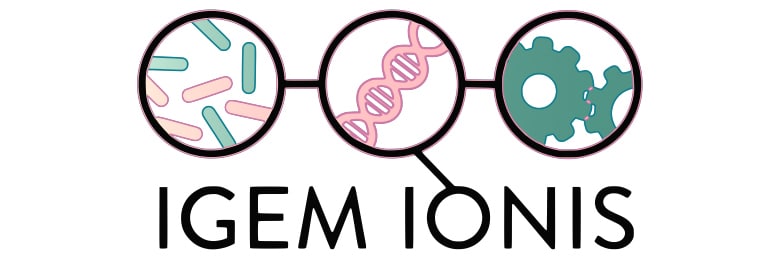 iGEM IONIS 2019