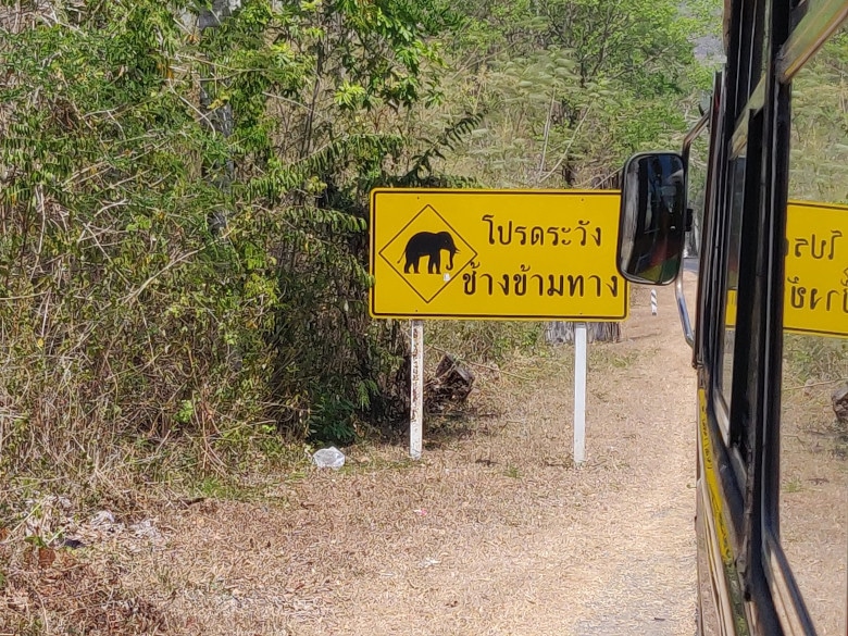 Semestre International en Thailande x Chulalongkorn University de Bangkok 