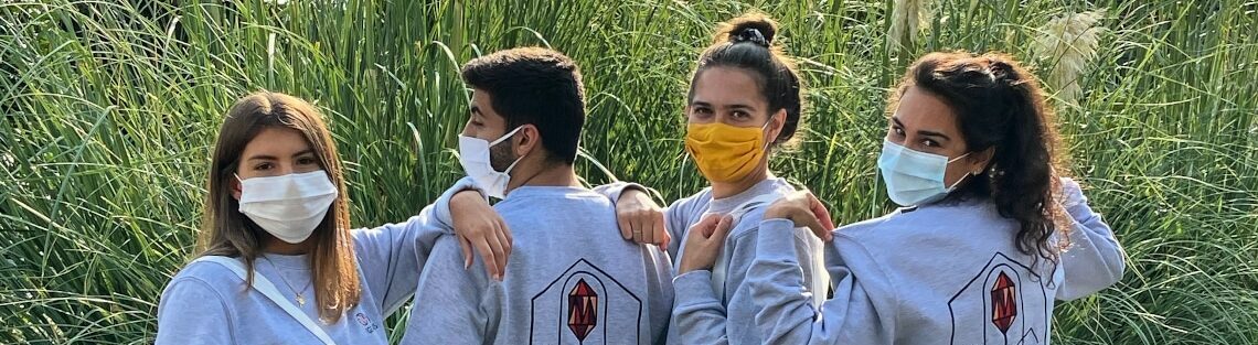 Concours iGEM 2020 : une médaille d’or et une nomination pour l’équipe iGEM IONIS !