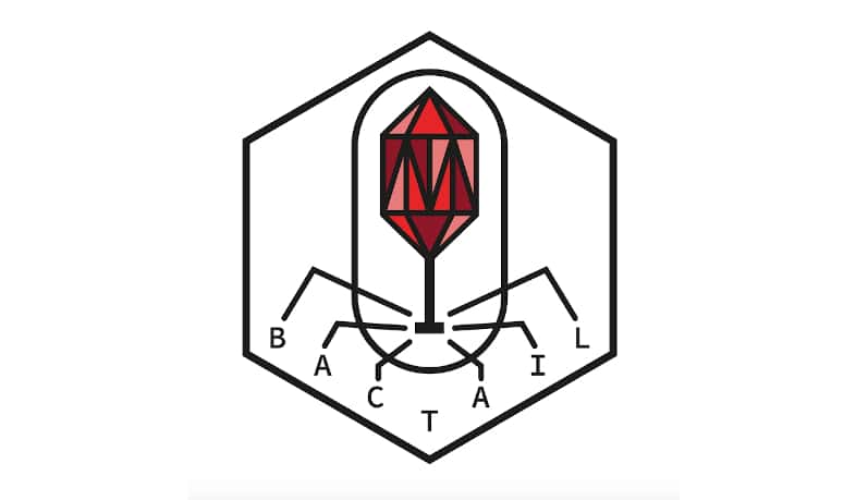 Concours iGEM 2020 : une médaille d’or et une nomination pour l’équipe iGEM IONIS !