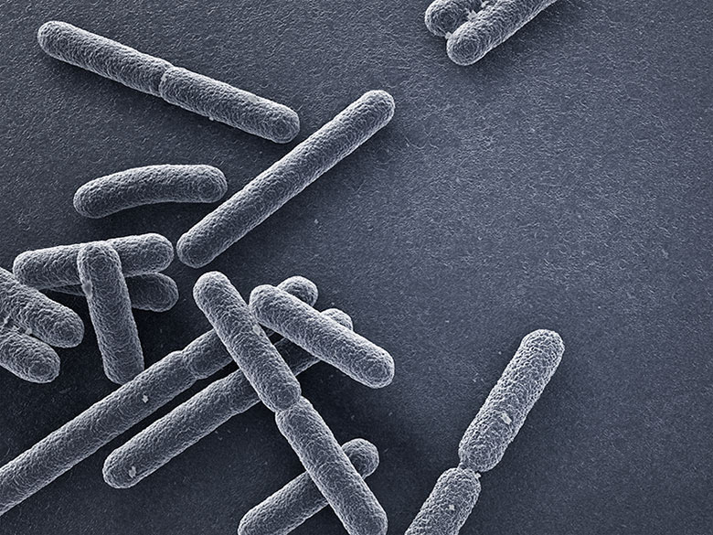 Découvrez Cobatect, le projet innovant et (sur)vitaminé de la nouvelle équipe iGEM IONIS !