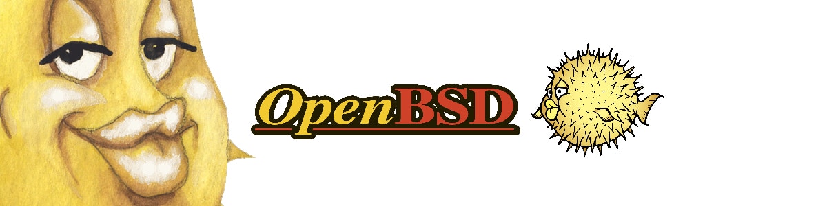 Recherche en cours : OpenBSD, un projet informatique aussi libre que créatif
