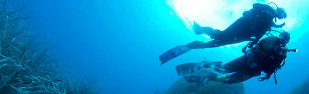 Research in progress: exploration robotics at EPITA